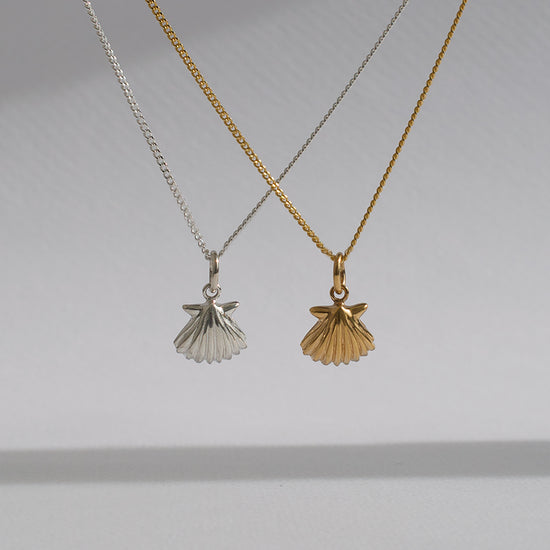 Clam Charm