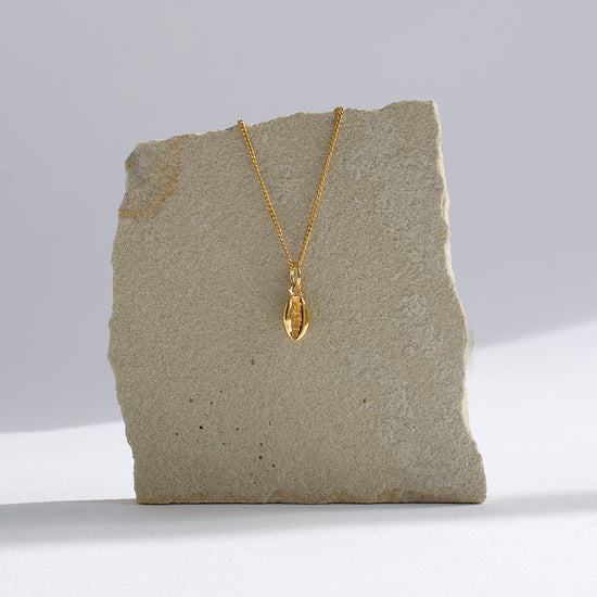 Cowrie Charm