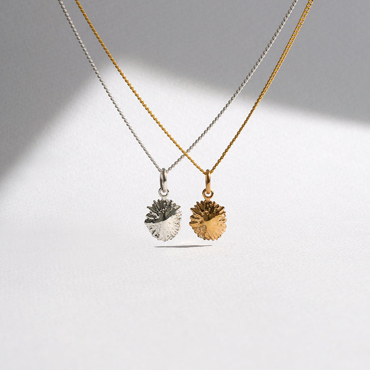 Limpet Charm