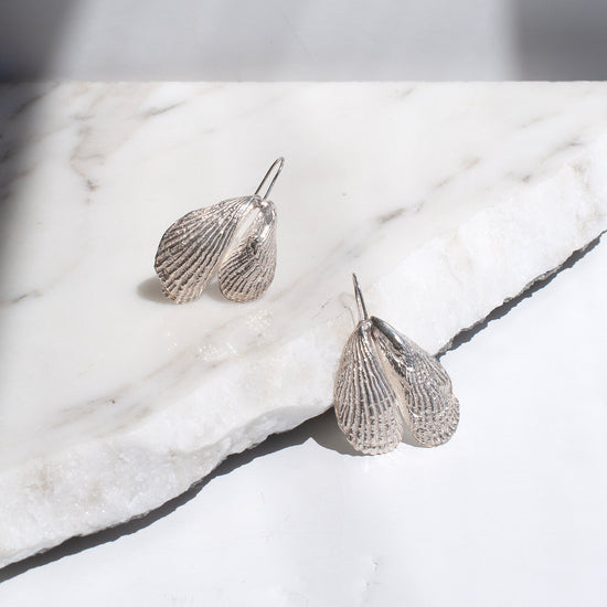 Double Shell Earrings | SMITH Jewellery